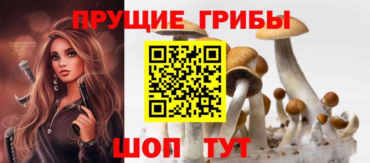 Галлюциногенные грибы Cubensis Ростов-на-Дону